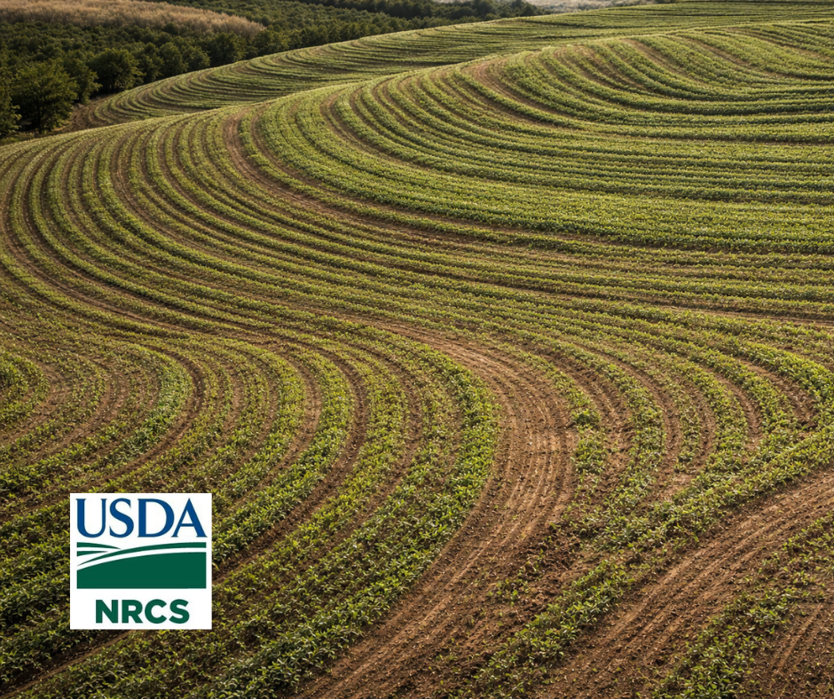 Contour Farming: NRCS Conservation Practice Standard.