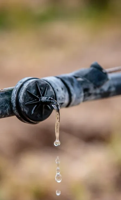 Irrigation Management