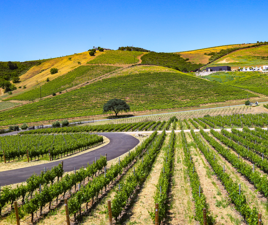 Keyline Design in Practice: Sustainable Land & Water Planning