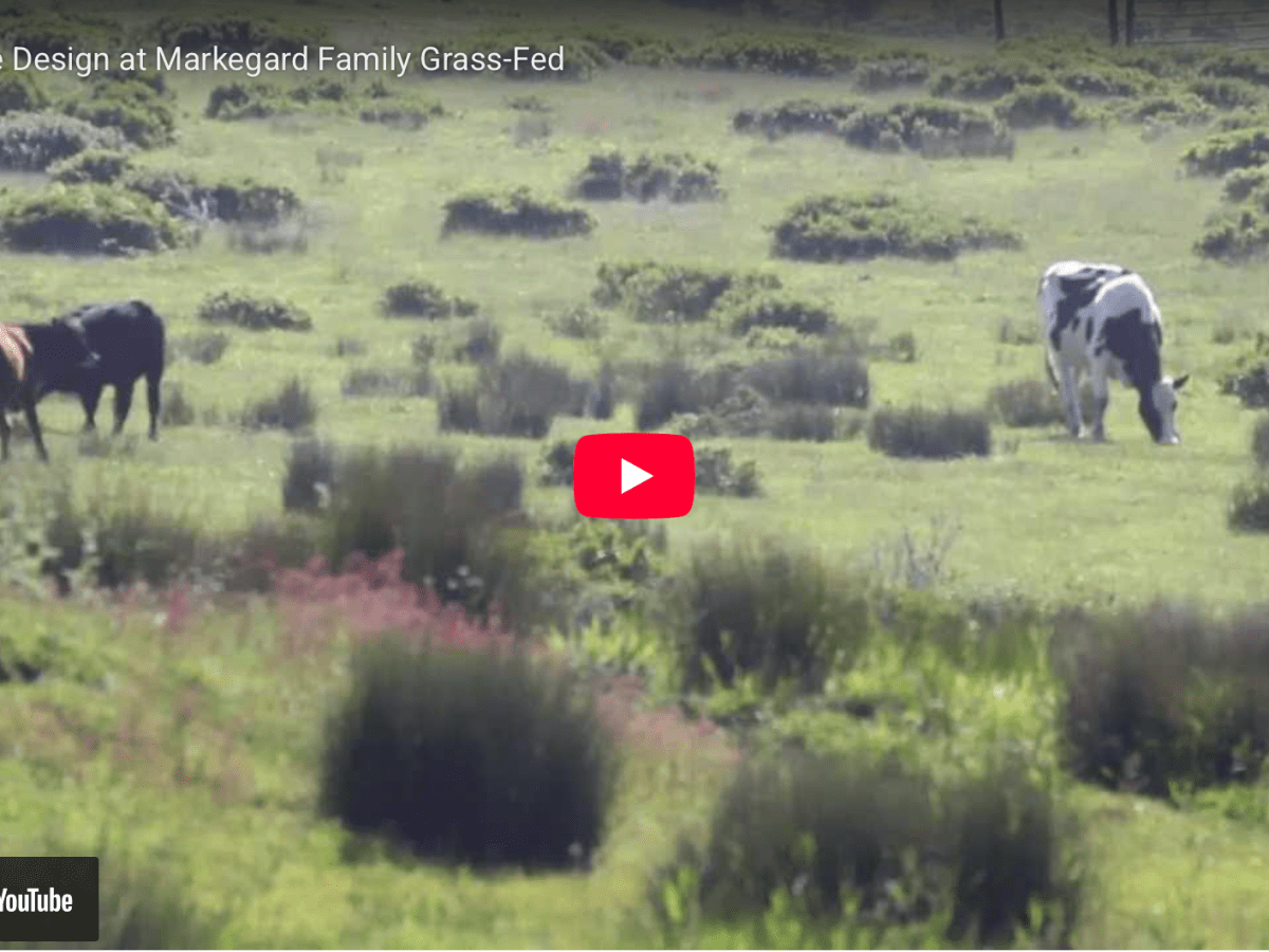 Keyline in Action: Markegard Family Grass-Fed Ranch