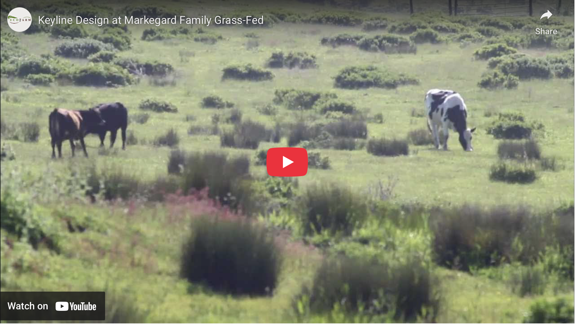 Keyline Design at Markegard Family Grass-Fed