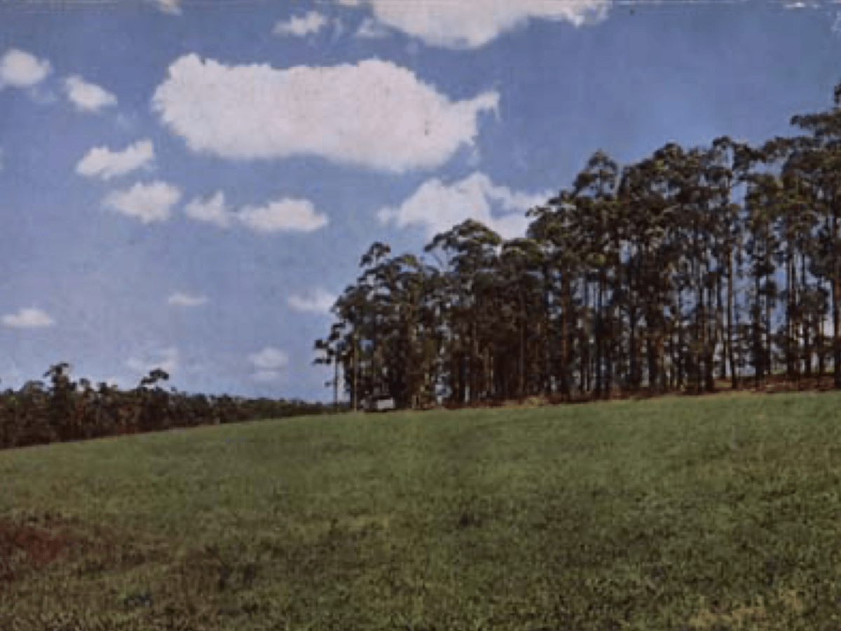 The Foundation of Keyline Design: The Keyline Plan by P.A. Yeomans