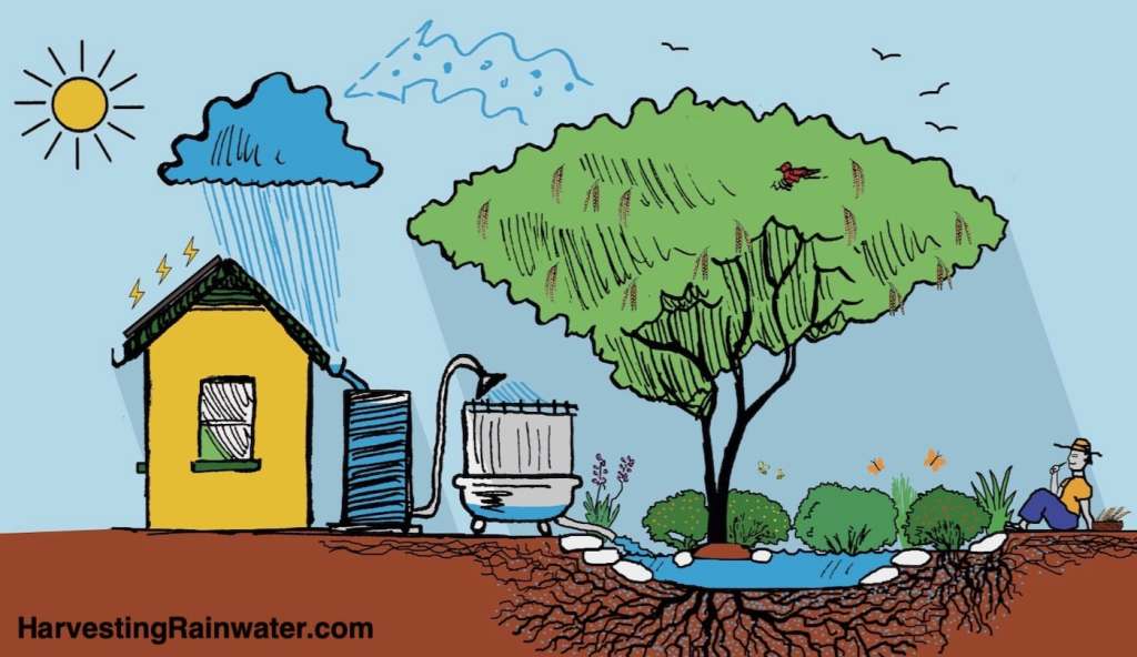 Water Harvesting with Purpose: Brad Lancaster’s Guide to Resilient Landscapes