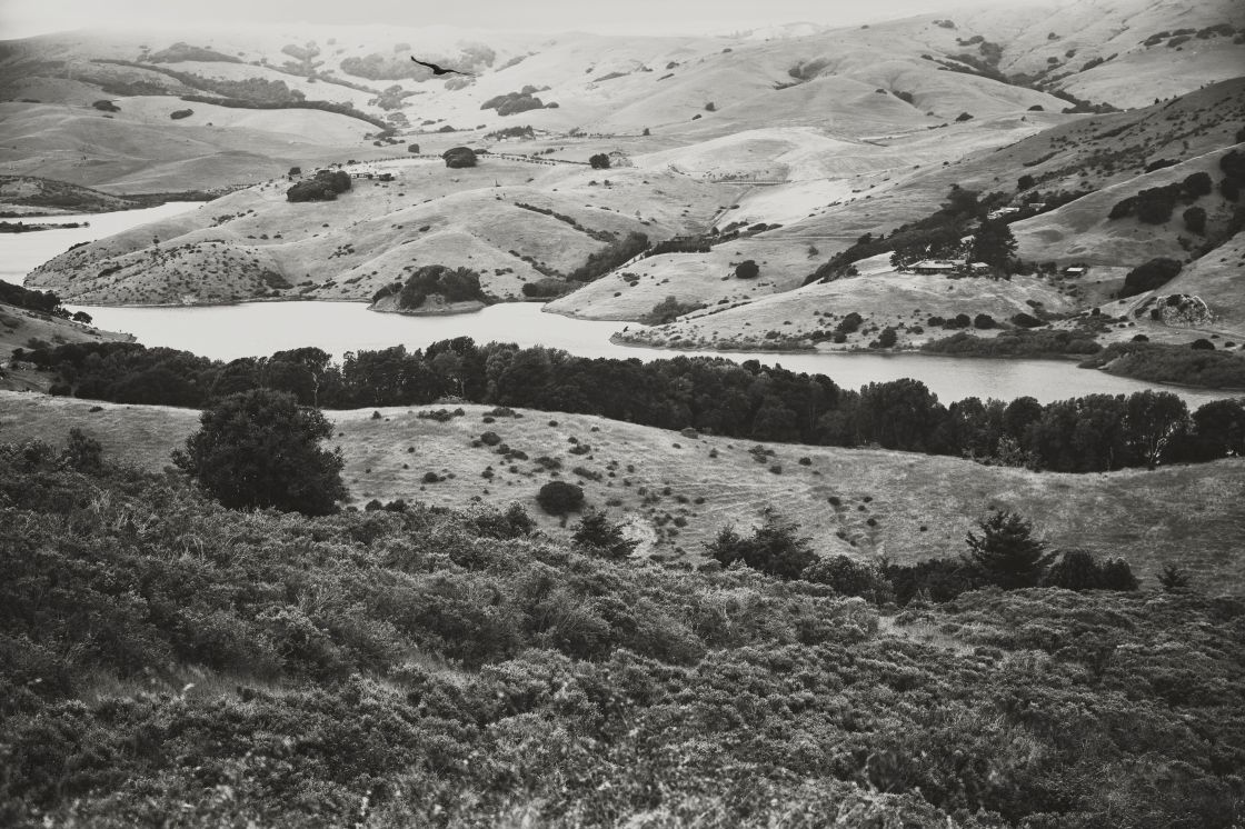 Restoring Land with Keyline: Nicasio Native Grass Ranch