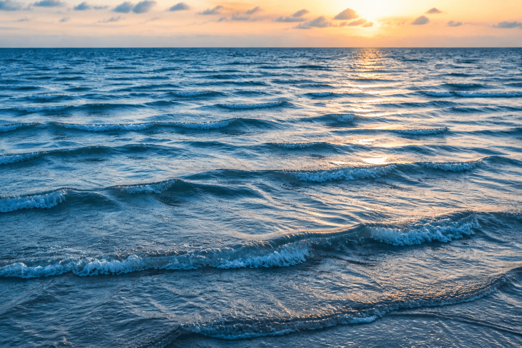 Shaping the Future of Water: PPIC Water Policy Center