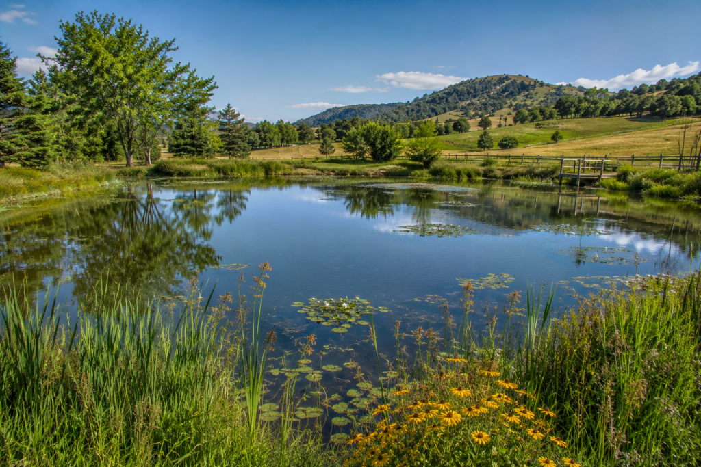 Sonoma Cooperative Extension Pond Management Resources for Farm Ponds and Aquaculture