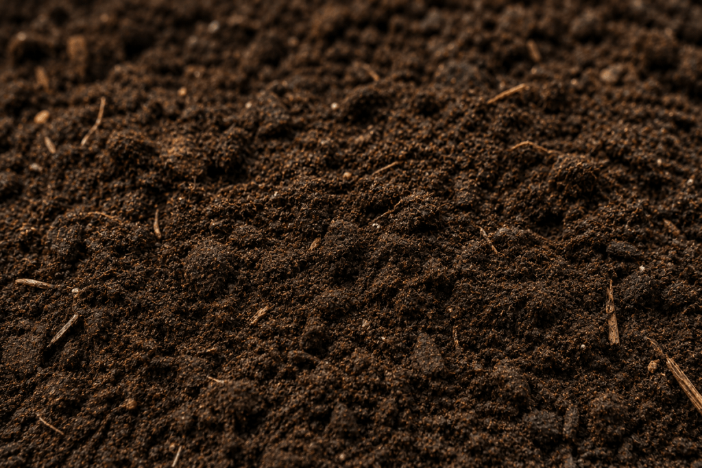 Sustainable Soil Management: Building Healthier Soils for Long-Term Farm Resilience